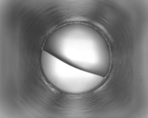 X0000068890833200605051113