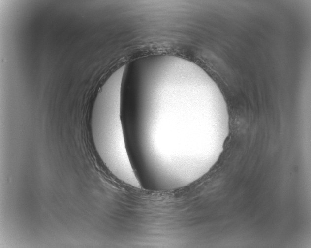 X0000068890865200605051112