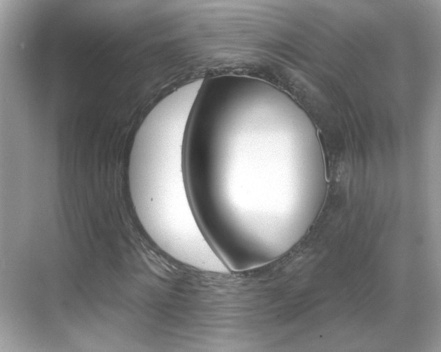 X0000068890868200605051112
