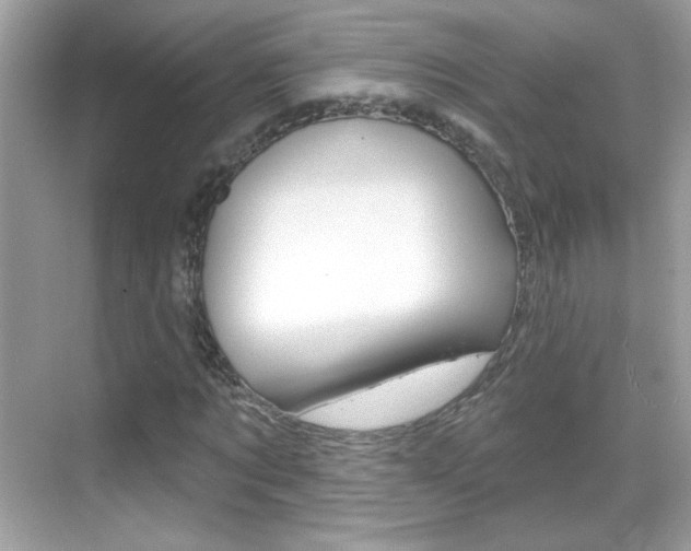 X0000068890869200605051112