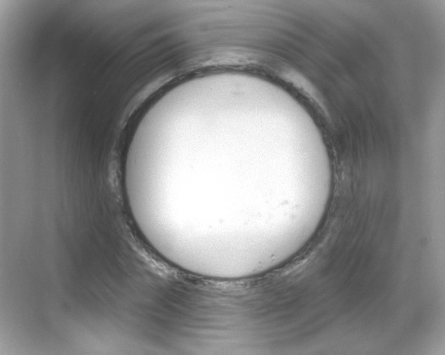 X0000068890874200605051112