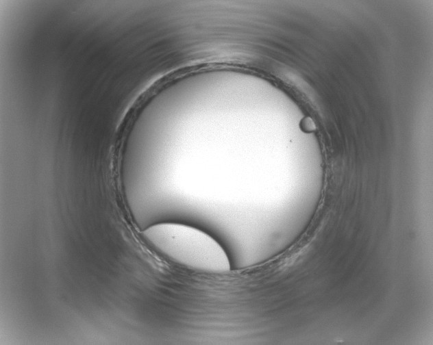 X0000068890875200605051112