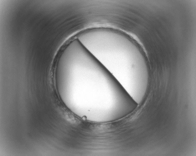 X0000068890879200605051112