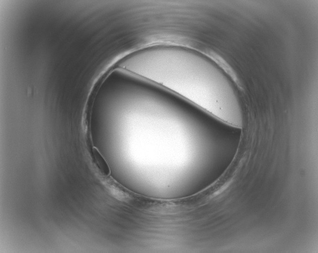 X0000068890885200605051112