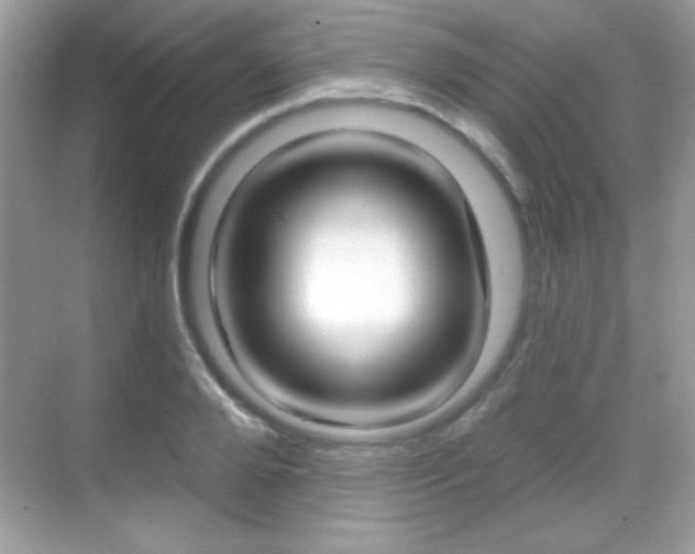 X0000068890888200605051112