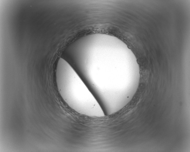 X0000068890913200605051111