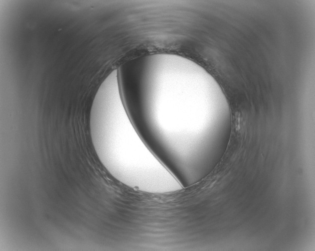 X0000068890915200605051111