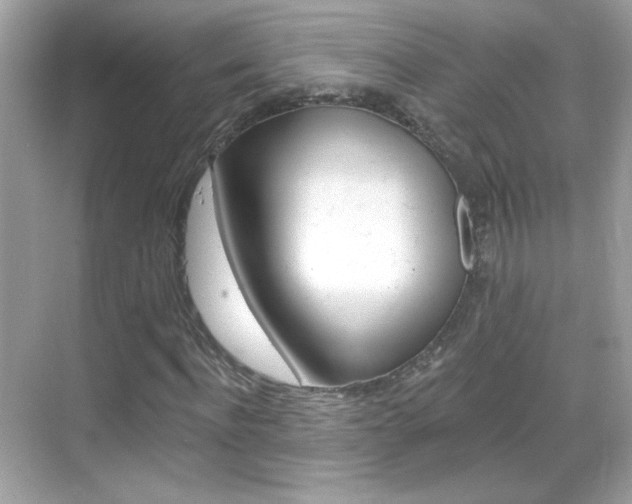 X0000068890916200605051111