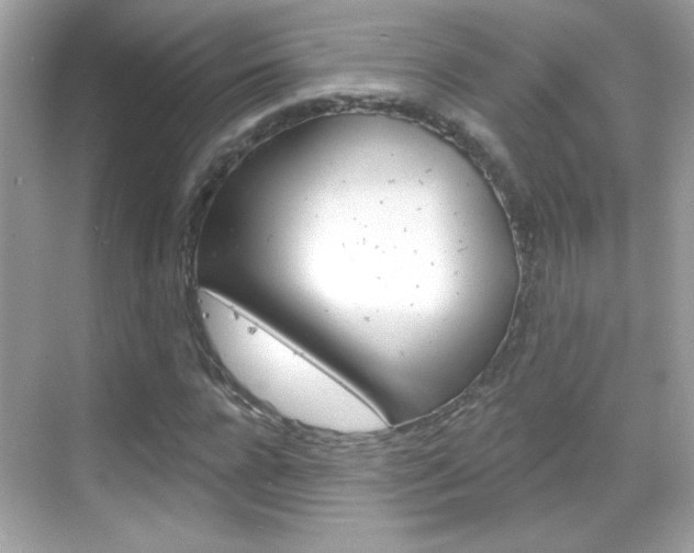 X0000068890920200605051111