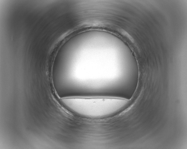 X0000068890922200605051111