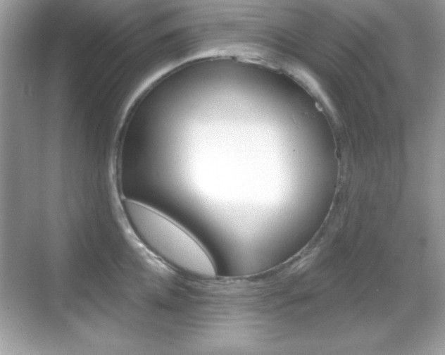 X0000068890952200605051112