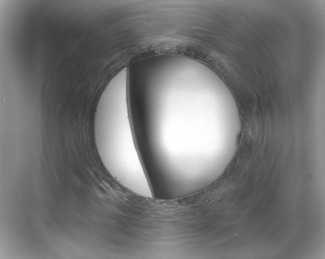 X0000068890964200605051111