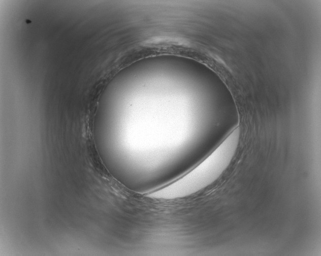 X0000068890965200605051111