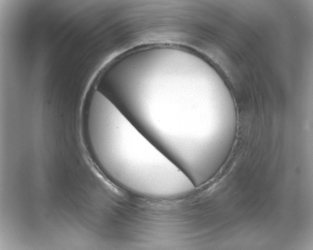 X0000068890982200605051111
