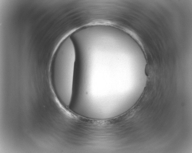 X0000068891003200605051110