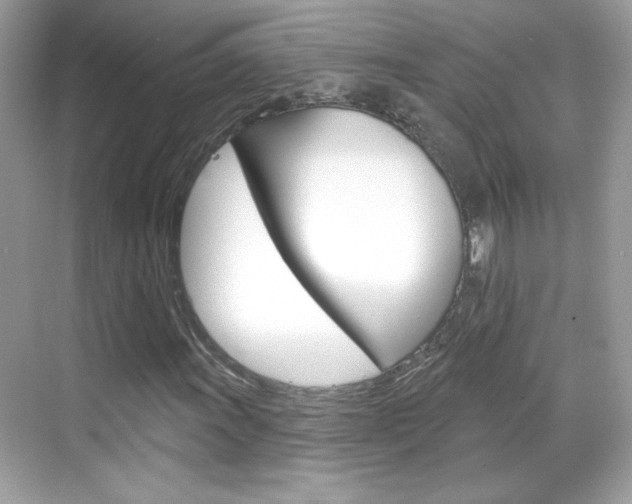 X0000068891011200605051109