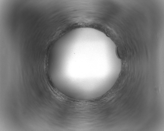 X0000068891012200605051109