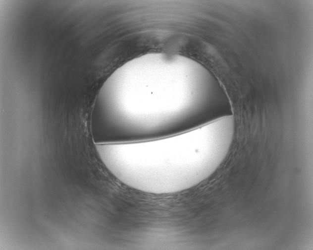 X0000068891013200605051109