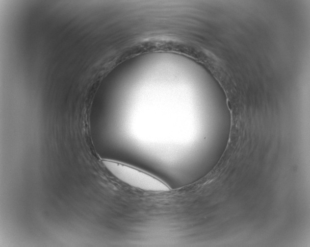 X0000068891014200605051109