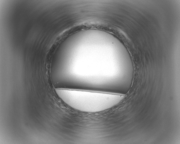 X0000068891016200605051109