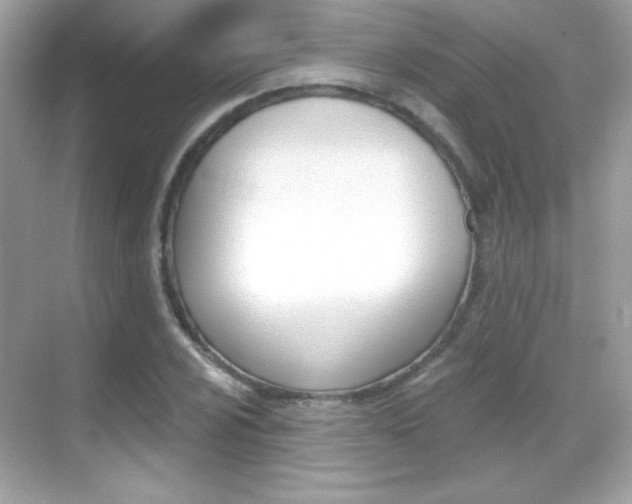 X0000068891024200605051110