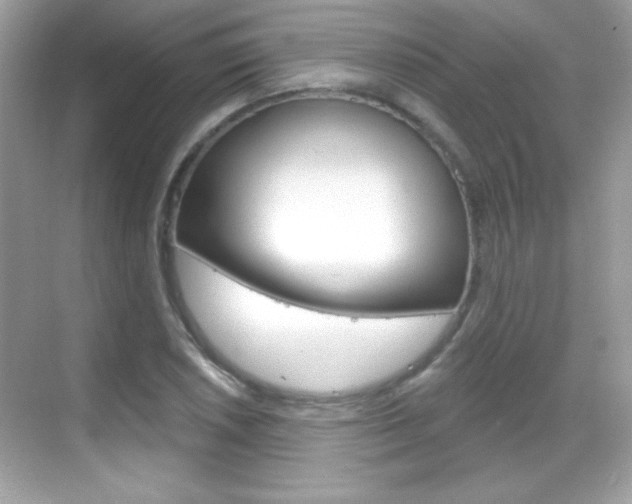 X0000068891026200605051110