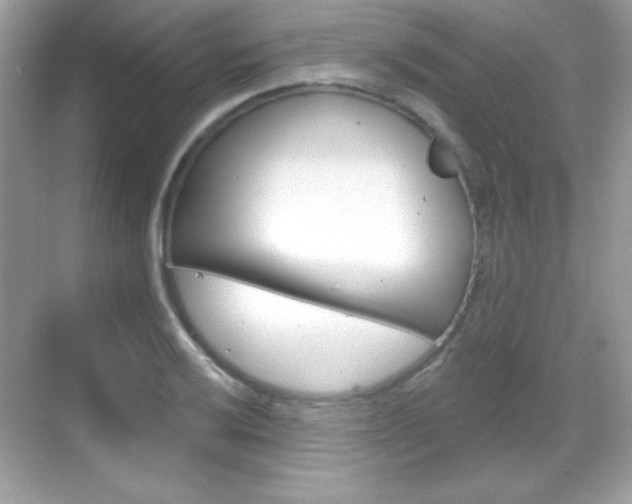 X0000068891032200605051110