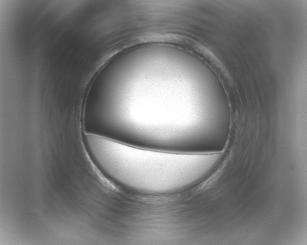 X0000068891033200605051110