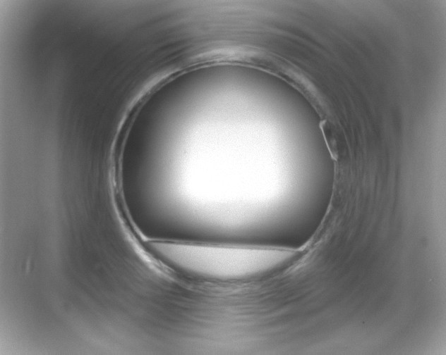 X0000068891034200605051110