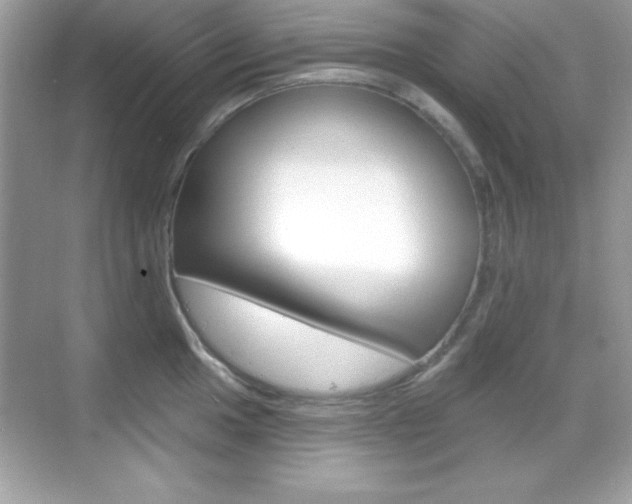 X0000068891049200605051110