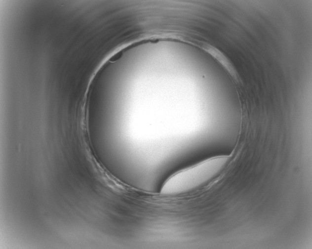 X0000068891052200605051110