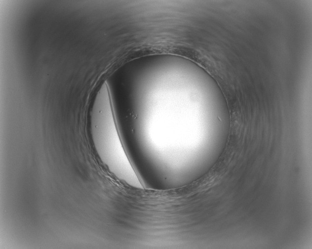 X0000068891057200605051109