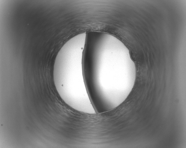 X0000068891058200605051109