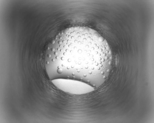 X0000068891059200605051109