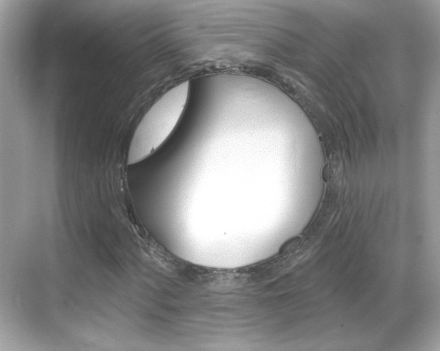 X0000068891060200605051109