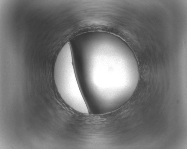 X0000068891061200605051109