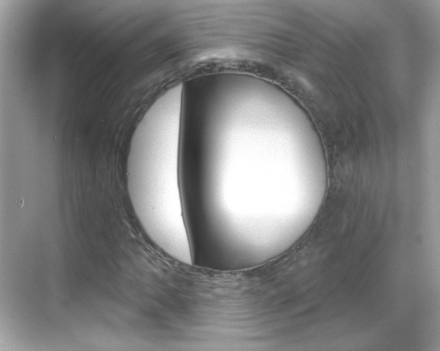 X0000068891062200605051109