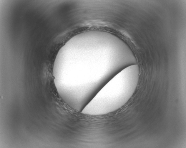 X0000068891063200605051109