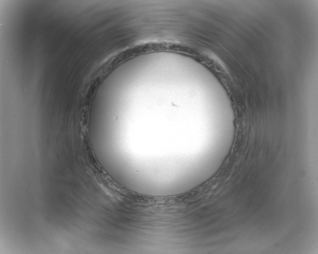 X0000068891064200605051109