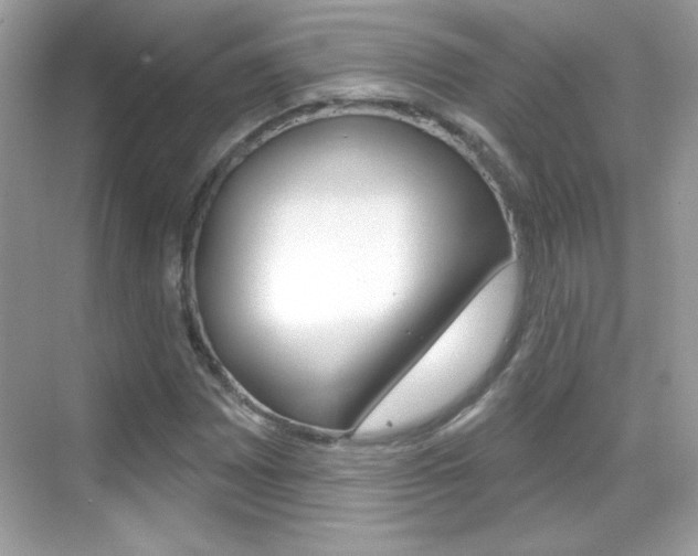 X0000068891065200605051109