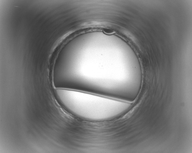 X0000068891066200605051109