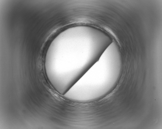 X0000068891067200605051109