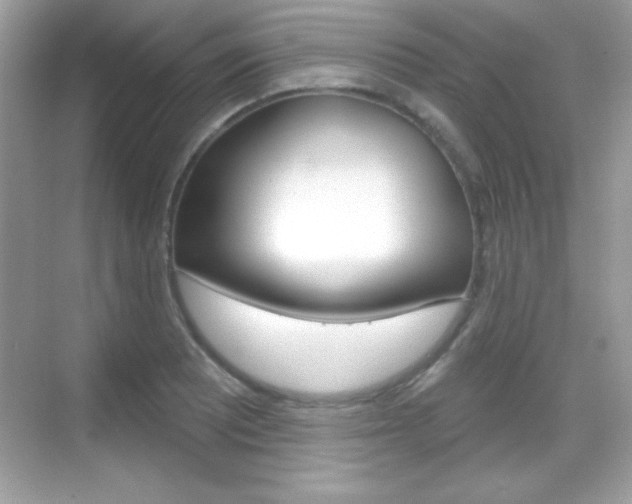 X0000068891081200605051109