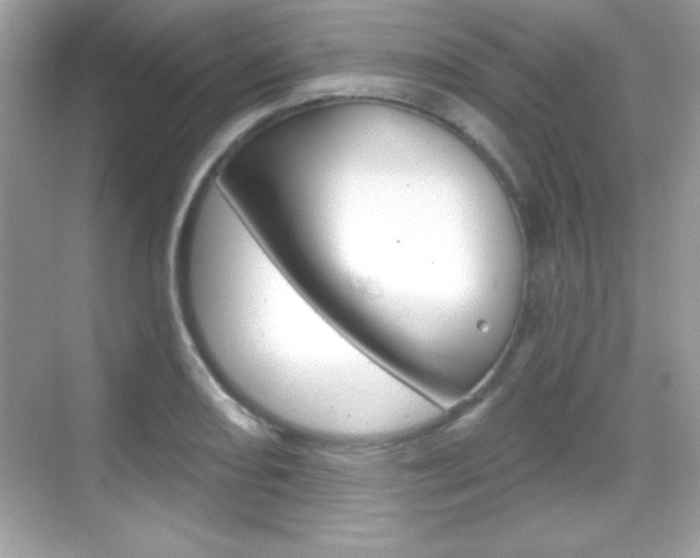 X0000068891082200605051109