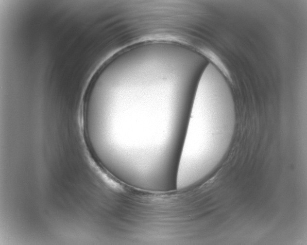 X0000068891084200605051109