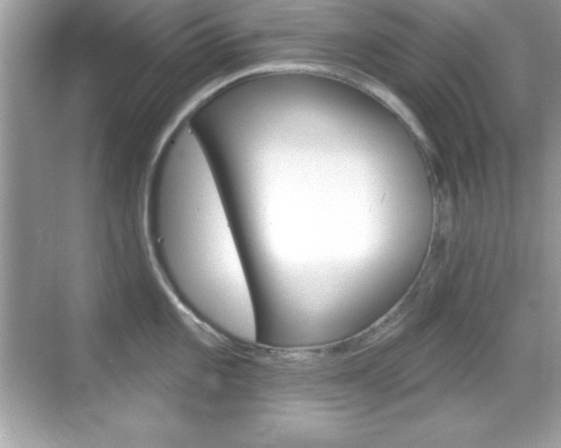 X0000068891101200605051109
