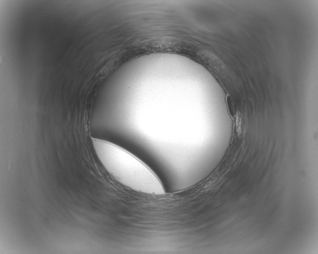 X0000068891107200605051108
