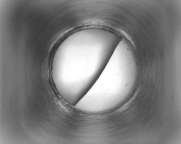 X0000068891117200605051108