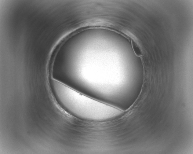 X0000068891120200605051108