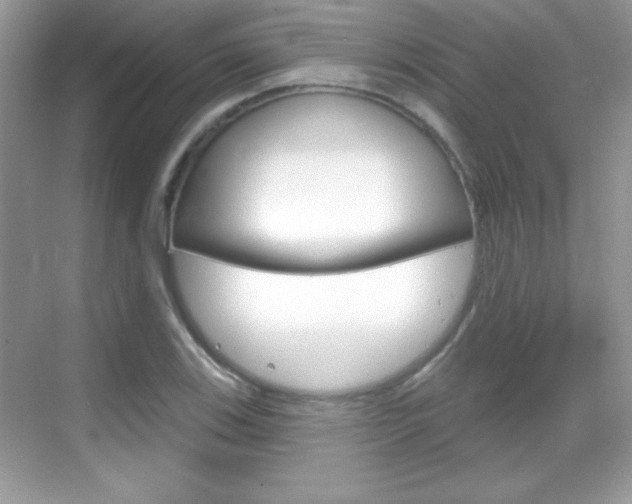 X0000068891123200605051108